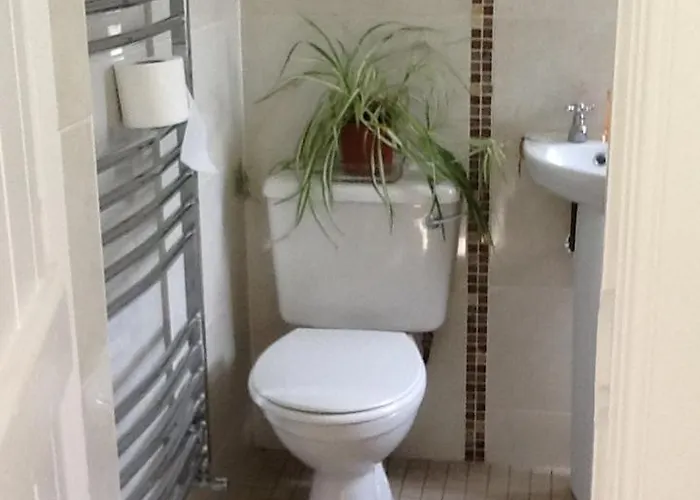 Noreen Seans Карндона